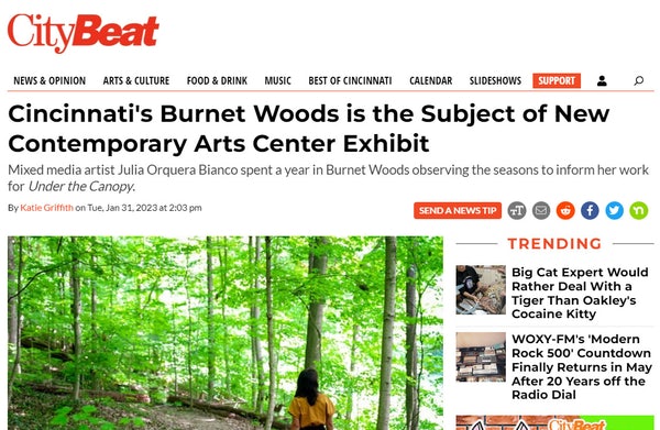 CityBeat: Cincinnati's Burnet Woods is the Subject of New Contemporary Arts Center Exhibit