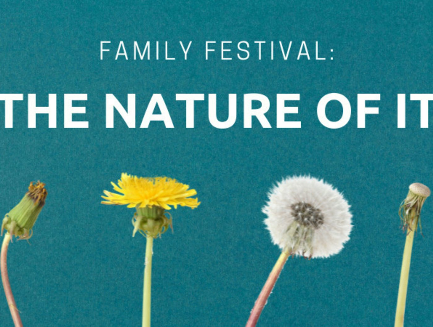Family Festival: The Nature of It