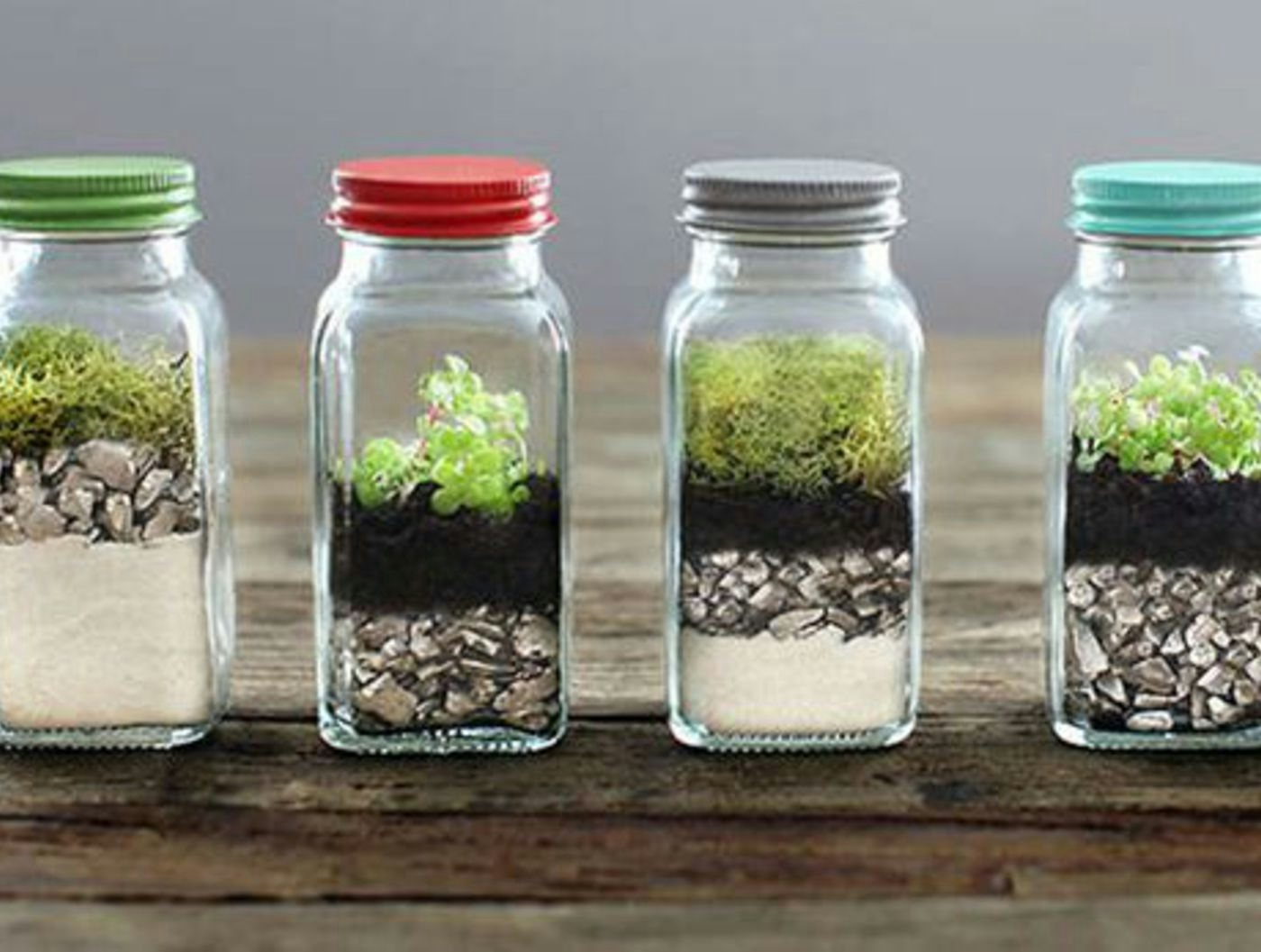 Young Adult Lab: Tiny Terrariums