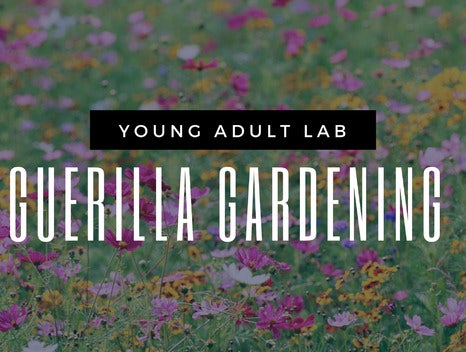 Young Adult Lab at Ziegler Park: Guerilla Gardening 