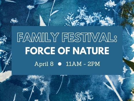 Family Festival: Force of Nature