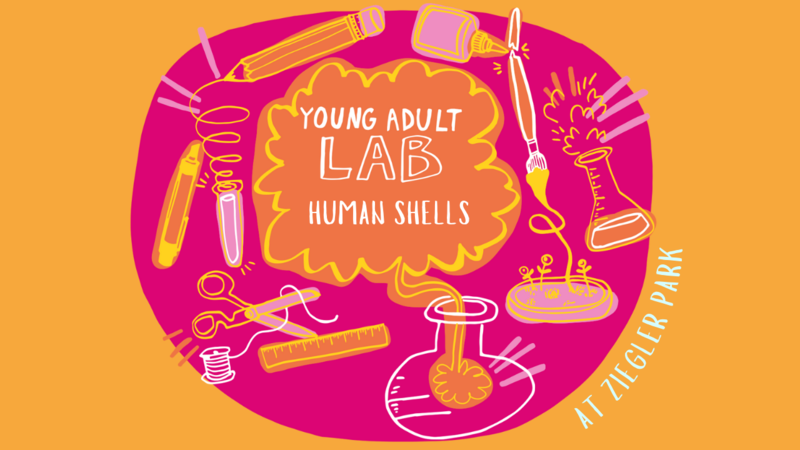 young-adult-lab-at-ziegler-park-human-shells