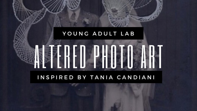 young-adult-lab-altered-photo-art