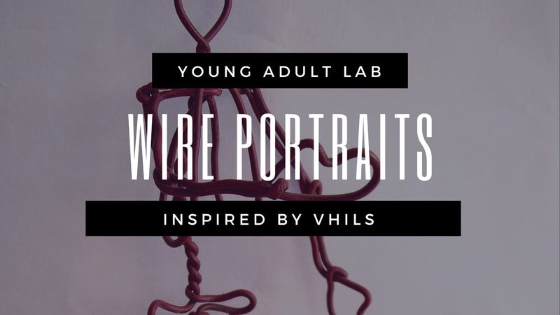 young-adult-lab-wire-portraits