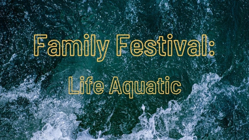 family-festival-life-aquatic