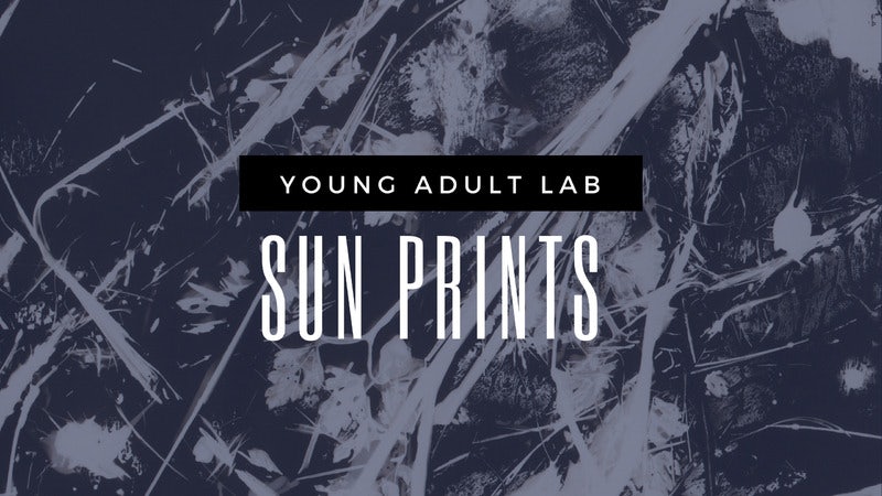 young-adult-lab-at-ziegler-park-sun-prints
