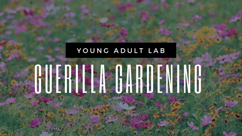 young-adult-lab-at-ziegler-park-guerilla-gardening