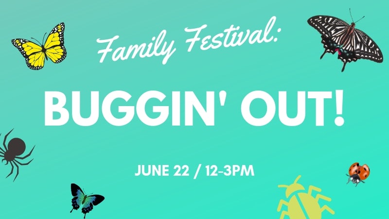 family-festival-buggin-out