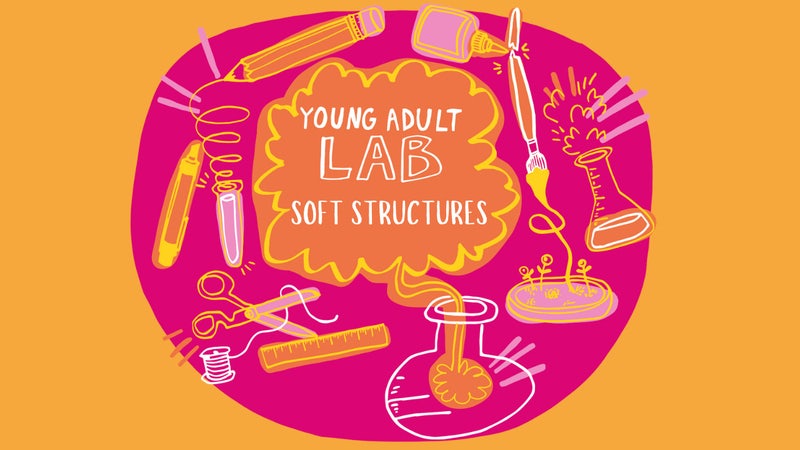 young-adult-lab-soft-structures