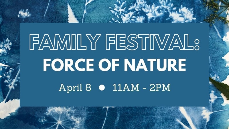 family-festival-force-of-nature