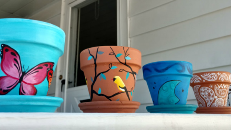 young-adult-lab-flower-pots