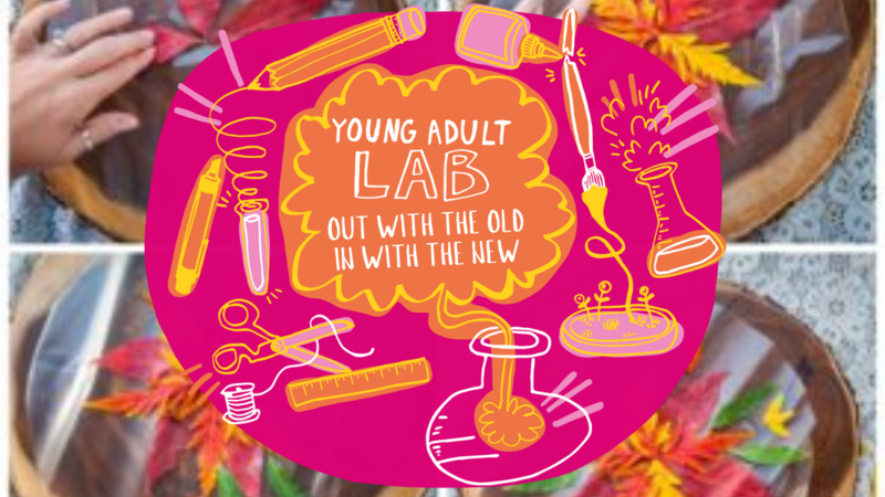 young-adult-lab-out-with-the-old-in-with-the-new