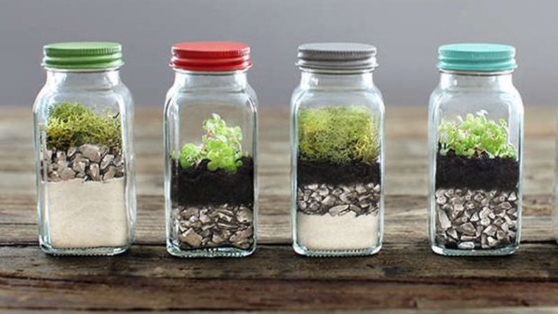young-adult-lab-tiny-terrariums