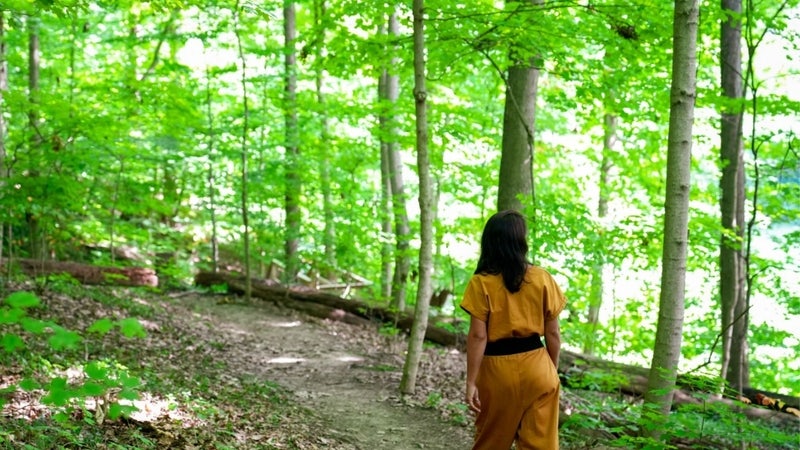homeschool-wednesday-under-the-canopy-tour