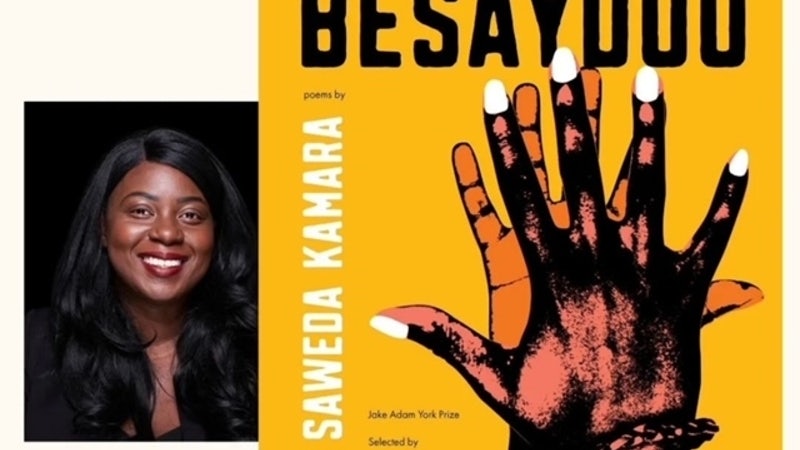 besaydoo-book-launch